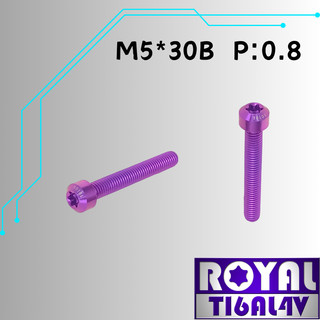 【瘋螺絲】ROYAL 鈦合金螺絲★ M5*30B P:0.8 錐形螺絲★64鈦/正鈦/鈦合金螺絲★出貨附發票★皇家紫