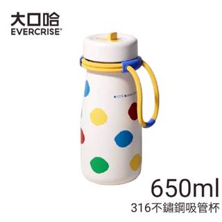 【臺灣現貨 24H出貨】 大口哈 ecercrise 650ml 不鏽鋼316 保溫杯 保溫瓶 隨身杯 吸管保溫杯