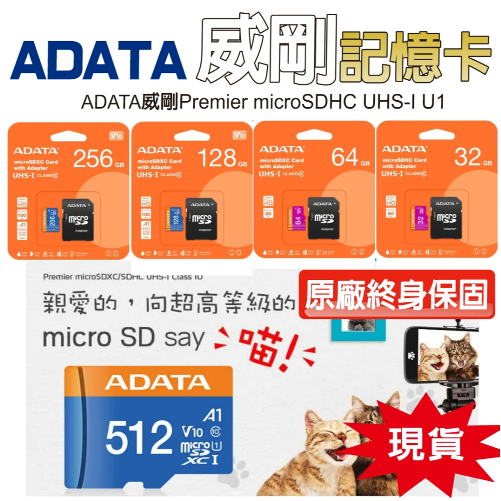 ADATA 威剛記憶卡【現貨+發票+台灣公司貨】SD卡 32G/64G/128G/256G 記憶卡 @10 CLASS