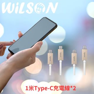【Apacer宇瞻】Type-C快充線 蘋果充電線 威剛PD/QC3.0充電器