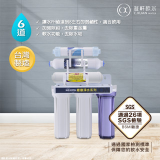 【澄軒飲水】維康六道式除鉛+奈米銀鹼性濾心淨水器/濾水器全配備（透過政府規定26項SGS檢驗、符合檢測標準）