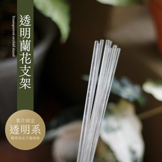 0123 studio | 透明蘭花支撐架 蘭花支架 支撐架 植物支撐架 盆栽支架 觀葉植物 蘭花 固定 天南星科 盆栽