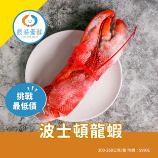 【辰時豪鮮】波士頓龍蝦 / 龍蝦 / 團購美食 / 水產批發 / 冷凍海鮮
