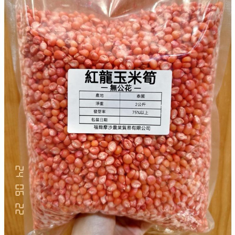 城禾農產🍃 無公花 紅龍玉米筍種子 2公斤大包裝 紅鬚玉米筍種子 玉米筍種子 無公花玉米筍種子 玉米筍種子 紅鬚玉米種子