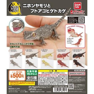 『Vic Toy』扭蛋 轉蛋 日版 BANDAI 生物大圖鑑爬蟲類 多疣壁虎與鬃獅蜥 日本守宮 鬃獅蜥 單售