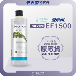 【原廠公司貨】愛惠浦 EF1500 濾心 ( 濾芯 愛惠浦濾心 愛惠浦濾芯 濾水器 淨水器 愛惠普 淨水器濾心 活性碳)