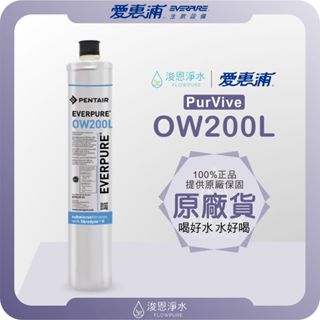 【原廠公司貨】愛惠浦 OW200L 濾心 ( 濾芯 愛惠浦濾心 愛惠浦濾芯 濾水器 淨水器 愛惠普 淨水器濾心 活性碳)