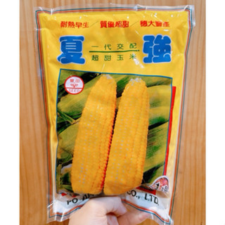 原包裝 1磅 夏強超甜水果玉米種子 約3150粒 夏強水果玉米種子 水果玉米種子 夏強玉米種子 玉米種子 甜玉米種子