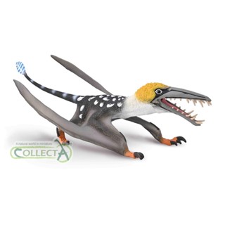 恐龍動物模型 CollectA 翼蜥蜴(嘴巴可動)
