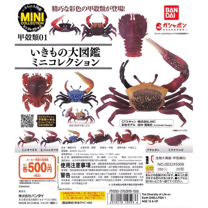 WhiteSpace㍿ ⚠現貨⚠ 扭蛋 轉蛋 BANDAI 生物大圖鑑-甲殼類01 招潮蟹 曼科招潮蟹 藍招潮蟹 赤手蟹