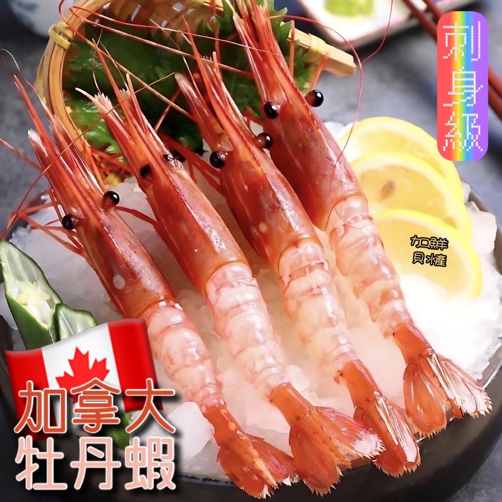 【加貝鮮水產】免運🧊冷凍牡丹蝦海老女王生食級加拿大日匠刺身多規格📽️看影片台北活海鮮新北活海鮮宅配快遞