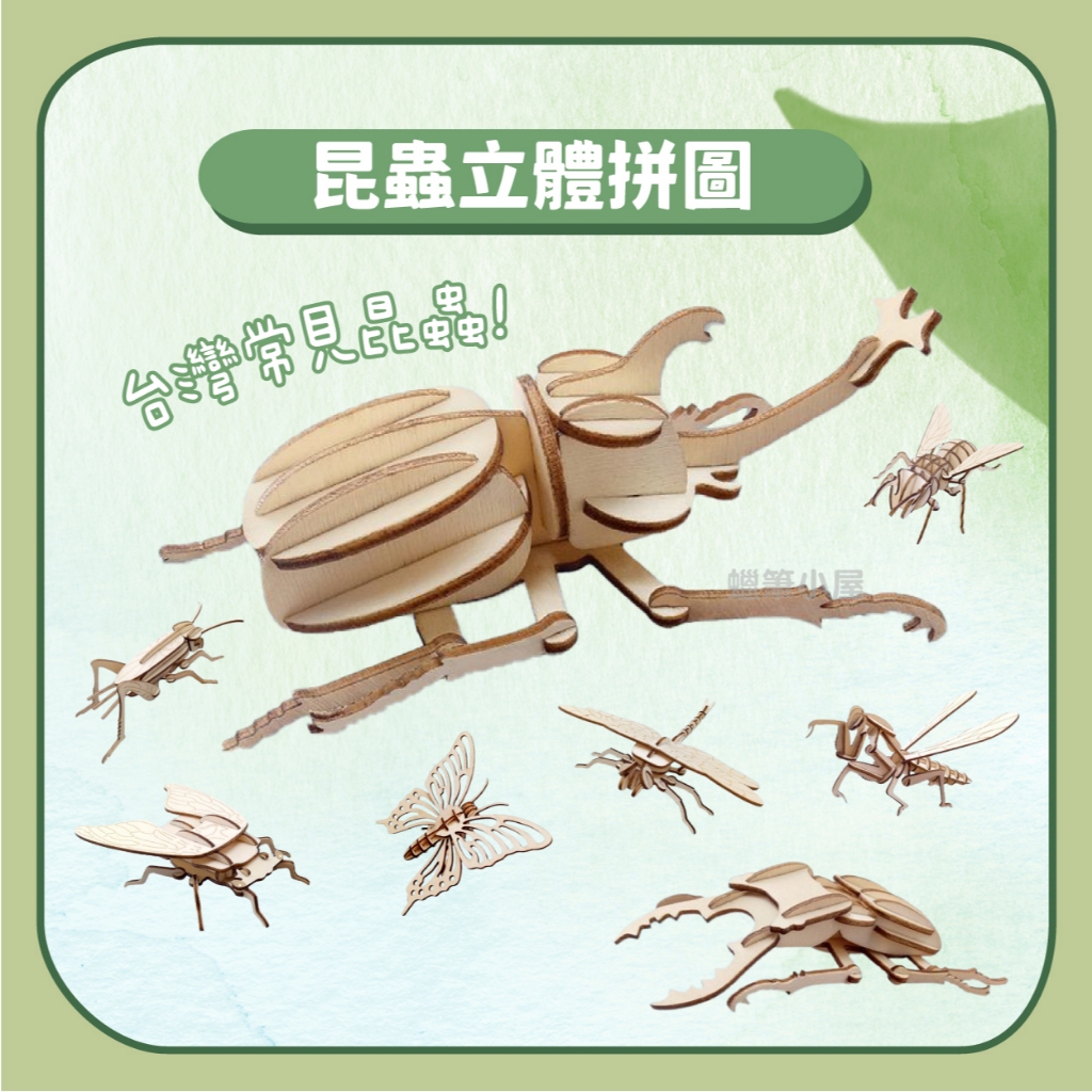 【益智拼圖】木質昆蟲立體拼圖｜台灣昆蟲3D獨角仙鍬形蟲木頭模型
