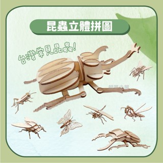 木質昆蟲立體拼圖 昆蟲拼圖 立體拼圖 木頭拼圖 臺灣昆蟲 3D立體拼圖 獨角仙 鍬形蟲 ☆蠟筆小屋☆