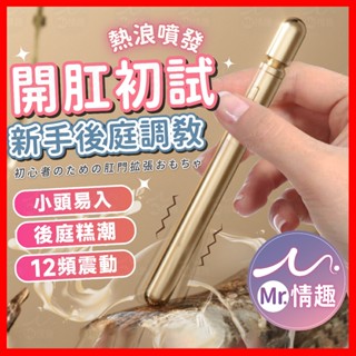 【今天買 明天到】悅庭棒 24H出貨 肛門按摩棒 肛塞 跳蛋 自慰棒 按摩棒 調情筆 擴肛器 震動肛塞 後庭玩具 按摩筆