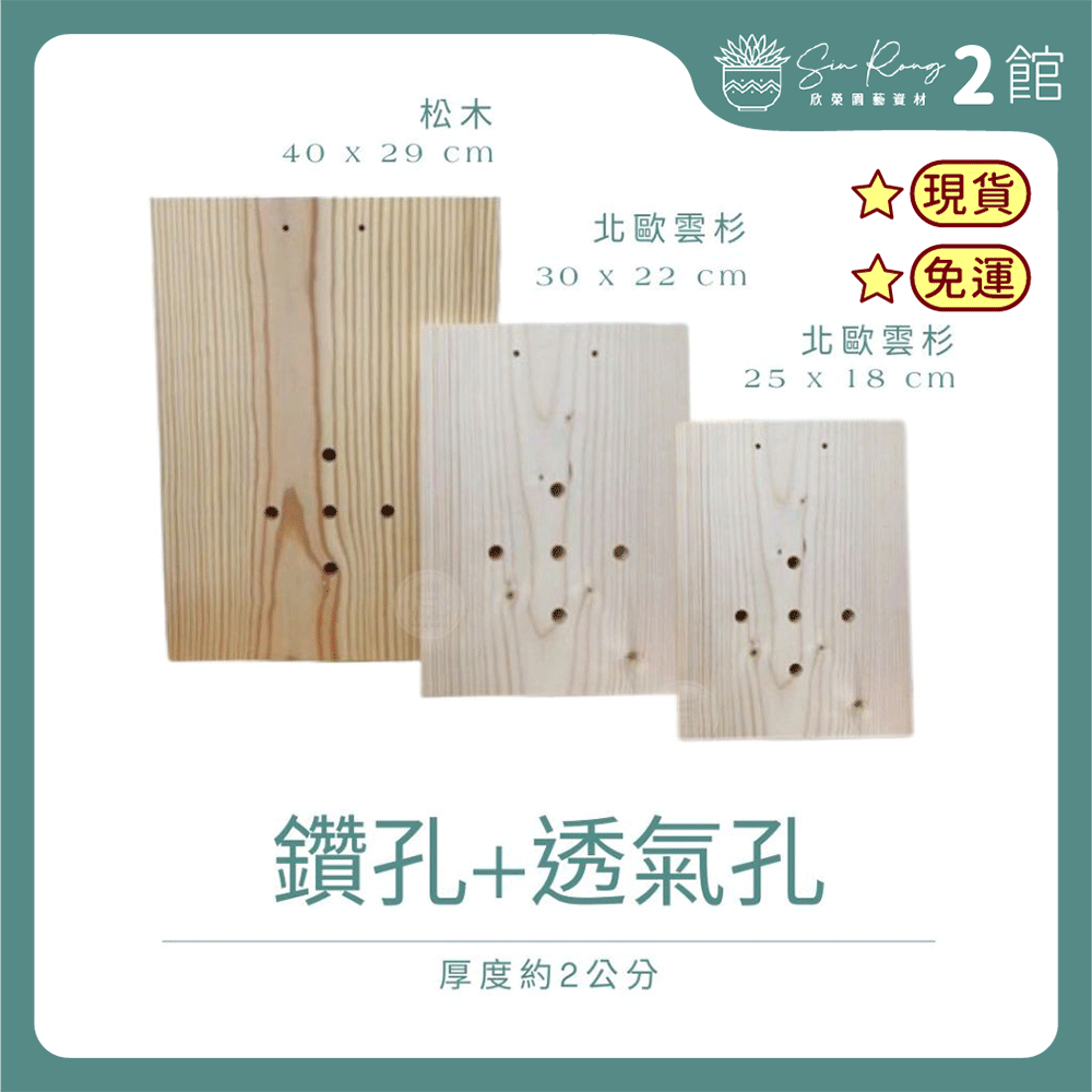 【欣榮二館免運快速出貨】鹿角蕨木板 鹿角蕨板材 上板神器 透氣 蕨類 蘭花 植生板 植床板 銀鹿 亞猴 巨獸 女王