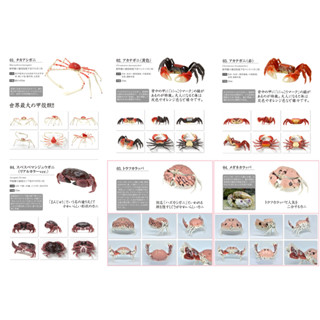 萬代 BANDAI 轉蛋 環保扭蛋 生物大圖鑑 超擬真 螃蟹 02 01代 可動 螯蟹 花紋愛潔蟹 饅頭蟹 帝王蟹