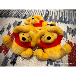 全新現貨 Winnie the Pooh 小熊維尼 Disney 有趣姿勢系列B 玩偶 絨毛玩具 吊飾 鑰匙圈 日本限定
