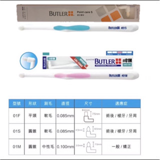 （現貨）三詩達BUTLER單束毛 尖頭（01S軟毛/01M中性毛）牙刷 顏色隨機