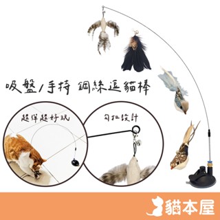 吸盤逗貓棒 模擬鳥 替換頭【現貨】手持逗貓棒 自嗨逗貓棒 貓咪玩具 鋼絲逗貓棒 逗貓神器 自動逗貓 貓玩具 羽毛逗貓棒