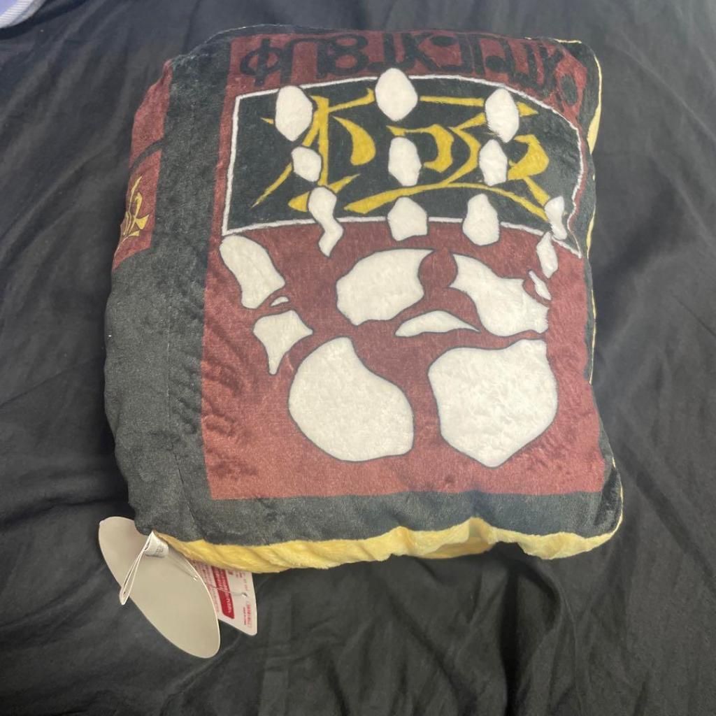 正版獵人環球影城抱枕 正版獵人抱枕 獵人 正版獵人 獵人周邊 獵人環球影城 幻影旅團 正版幻影旅團