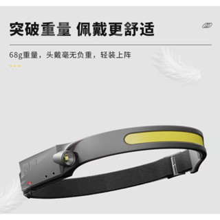 【LUREER】 感應式 頭帶式頭燈 COB 頭燈 800W 超亮 TYPE C充電 手電筒 夜釣 電燈