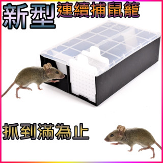 新型 重複用 捕鼠籠 連續抓 抓整晚 補鼠神器捕鼠器 滅鼠板 捕鼠貼 老鼠板 抓老鼠 老鼠籠 黏鼠板 粘鼠板 捕鼠板