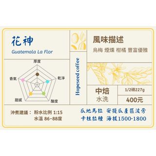 ＜希望種子咖啡＞瓜地馬拉 花神 水洗(耳掛包，中焙) 自家烘焙 精品咖啡