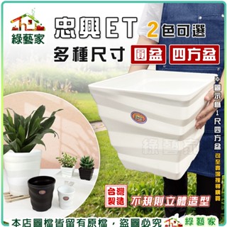 【綠藝家】忠興ET圓盆、四方盆 (多種尺寸) 多肉造型盆 不規則立體造型超亮眼 觀葉盆 種植盆 造型盆