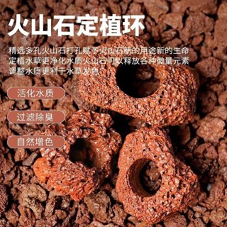 【新莊/五股/青島水族】火山岩 洞穴 孔穴式 多孔可培菌 淨水 硝化 濾材 過濾水族箱魚缸 造景 石頭 底砂 躲藏