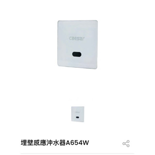 凱撒 Caesar 小便斗 隱藏式沖水器 A654W電壓110-220v清倉價