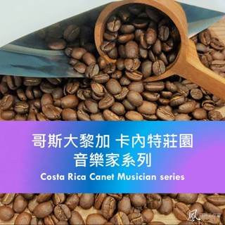 [風咖啡工作室] 哥斯大黎加 音樂家系列 新產季 自家烘焙 莊園精品 咖啡豆 手沖單品 咖啡熟豆