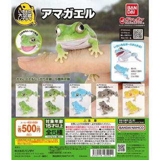 『現貨』生物大圖鑑-日本雨蛙 BANDAI 扭蛋 轉蛋 【蛋樂寶】