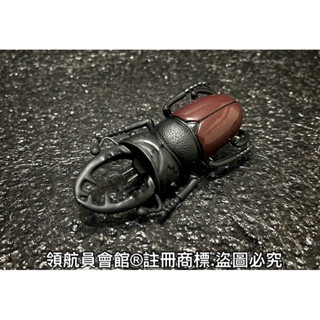 【領航員會館】單售 鍬型蟲 日本KOROKORO甲蟲王者20週年昆蟲公仔 扭蛋 模型玩具標本 秋形蟲獨角仙