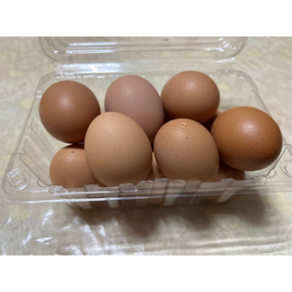 雞蛋 一盒100元 約10-12顆（下標前請先聊聊）