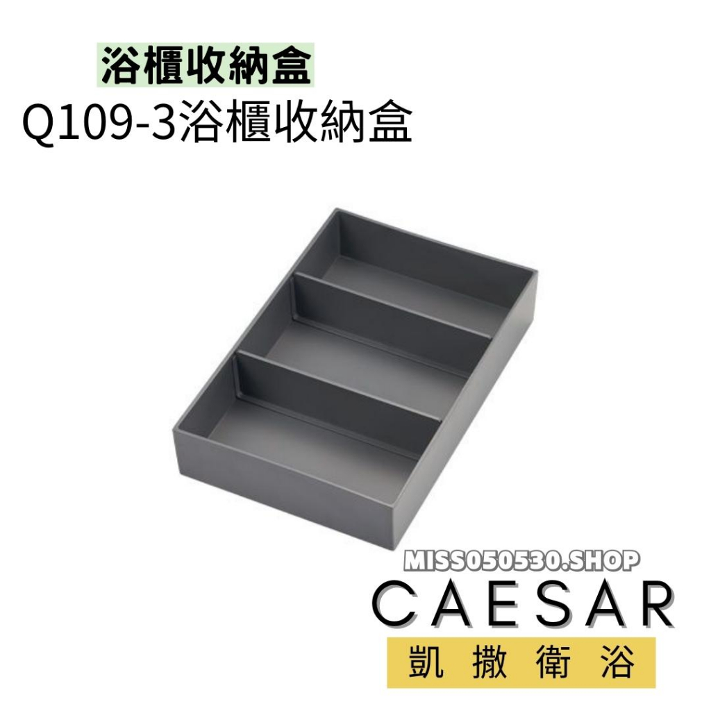 Caesar 凱撒衛浴 浴櫃收納盒 抽屜收納盒 收納盒 Q109-3 櫃子收納盒