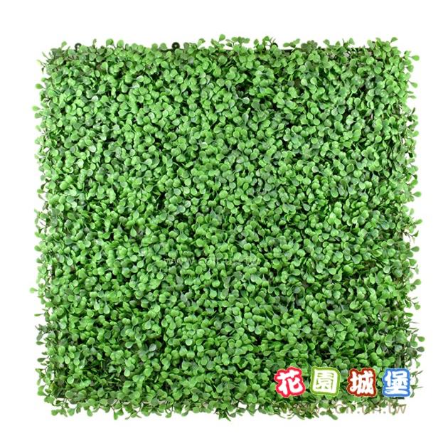 台灣現貨 仿真植物牆~七里香 小尤加利葉 人工草 人造植物牆綠牆植生牆 逼真 美觀 耐曬雨淋 室內外均可 花園城堡