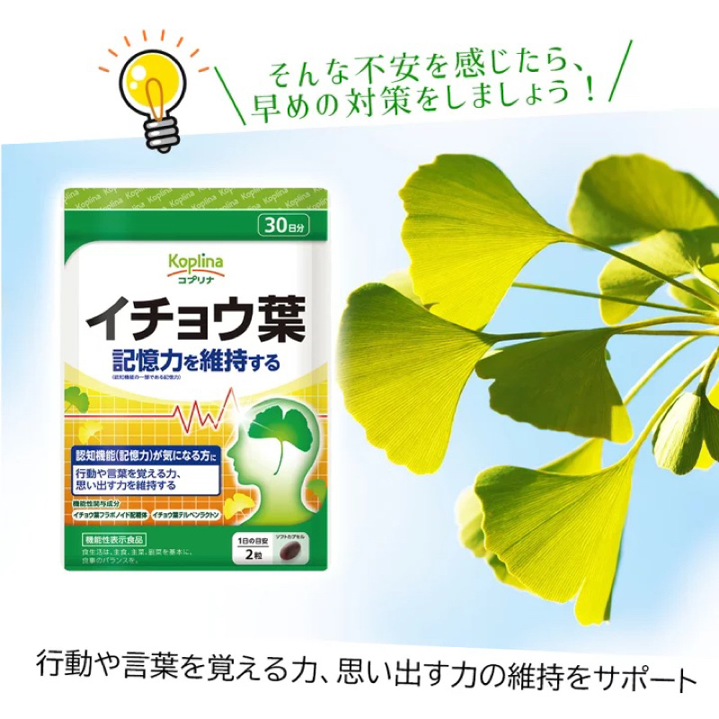 現貨 日本原裝進口 銀杏 日本境內版 銀杏葉 記憶力 現貨 日本代購 日本必買 DHA EPA