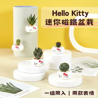 Hello Kitty迷你磁鐵盆栽 ( 2入/盒) 禮物盆栽 多肉盆栽 冰箱磁鐵 辦公室植物 聖誕交換禮物