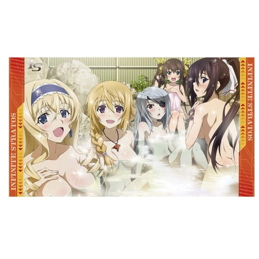 全新動畫周邊《Infinite Stratos 2 IS2 單人床罩》(2) 床罩 動漫精品