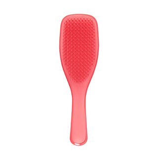 Tangle Teezer 順髮神器 The Wet Detangler 濕髮專用梳-粉紅風暴 1st (TE057)