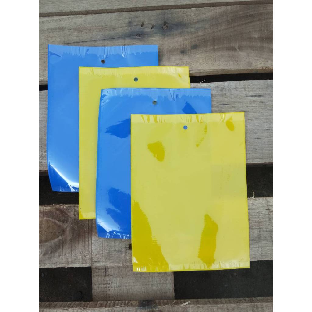 黃色黏蟲板 / 藍色黏蟲板  (雙面)  / 小黑飛剋星 / 薊馬剋星 / 雙面黏蟲 / 園藝除蟲 / 果實蠅