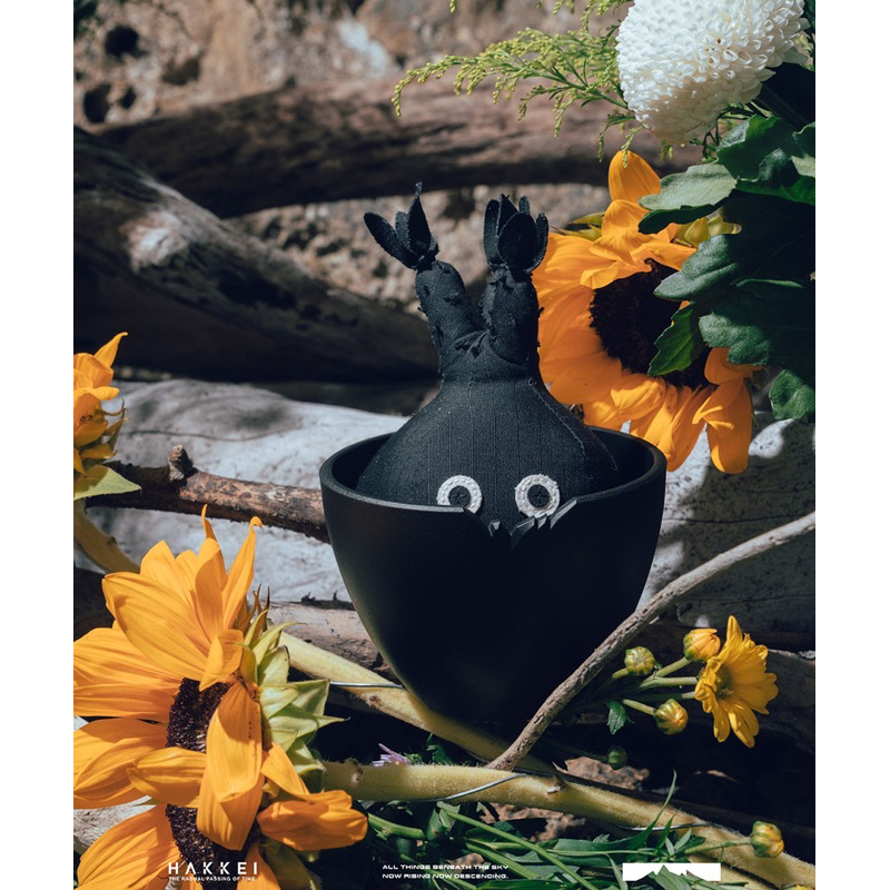 [現貨] HAKKEI Black Pachypodium Gracilius Doji 暗黑象牙宮豆吉 白景