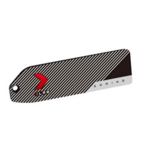 ❤️現貨 PNY XLR8 PS5 SSD Heatsink PS5 光碟版主機專用 SSD 固態硬碟 散熱片 散熱護蓋