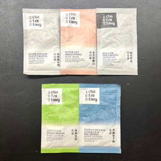 黑貓小舖🐈‍⬛｜茶籽堂 cha tzu tang 沐浴露 洗髮露 乳液 護髮素 10ml 馬慄樹舒活 水芙蓉潤澤 試用包