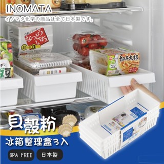 彤樂會💕【INOMATA】貝殼粉冰箱整理盒3入 冰箱用 冰箱收納 冷藏 冰箱整理 日本製 ✔️現貨 📌隔日到貨