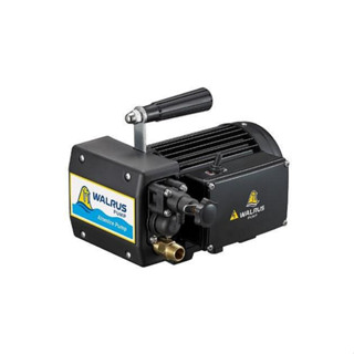 TH400P噴霧機 1/2HP walrus 大井噴霧機 園藝澆花 高壓清洗機 試水機 試壓機 管路試壓抓漏 洗車機WA