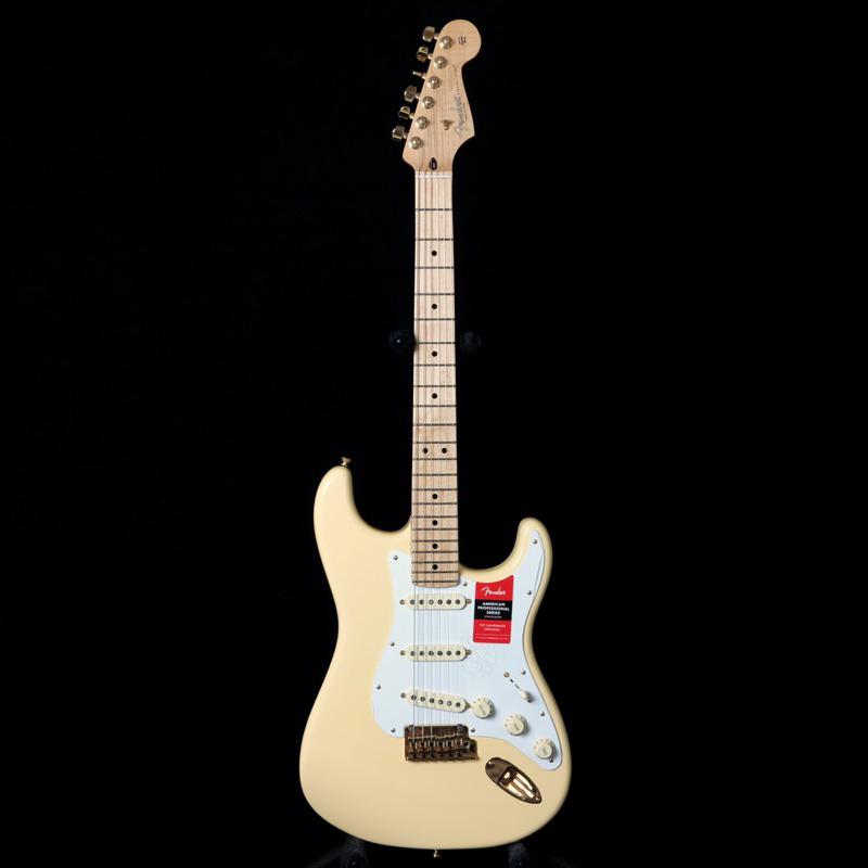 【alien rabbit】Fender LTD American Professional Stratocaster