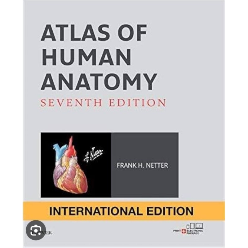 Atlas of Human Anatomy 7e netter