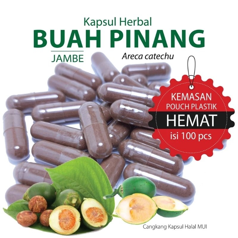 Kapsul Buah Pinang Isi 100 Kapsul Untuk Merapatkan Miss V