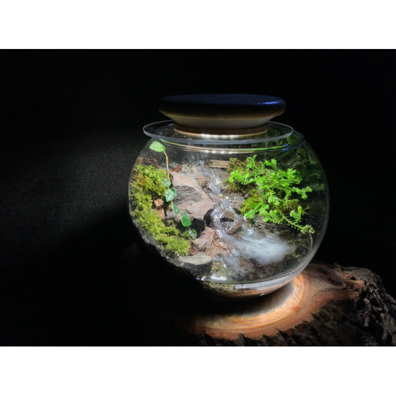 微景觀生態瓶（成品）：辦公室擺飾、療癒植物、雨林缸、造景缸、觀葉植物、苔蘚、生態缸、宮崎駿、瀑布、流水、夜光、森林